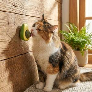 JUGUETE PARA GATO BOLA HIERBA